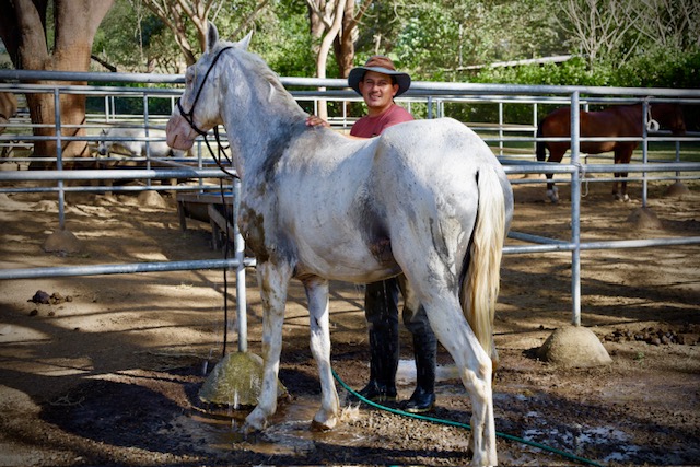 Finca Dontricia Chevaux 7