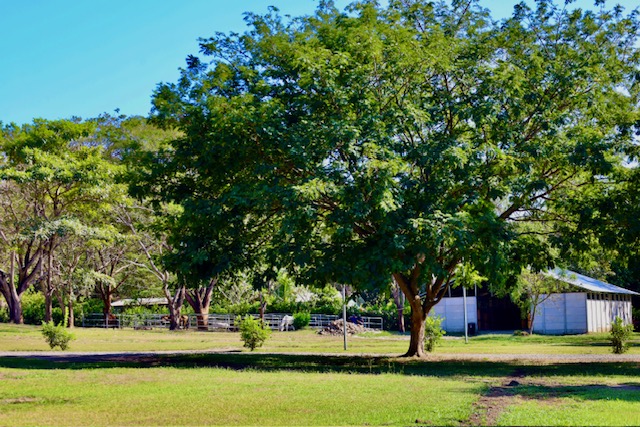 Finca Dontricia Guanacaste 3