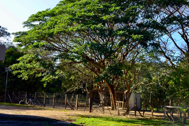 Finca Dontricia Guanacaste 30 1