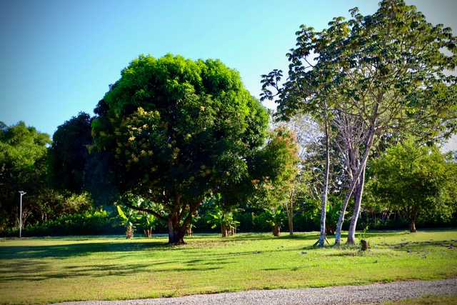 Finca Dontricia Guanacaste 8