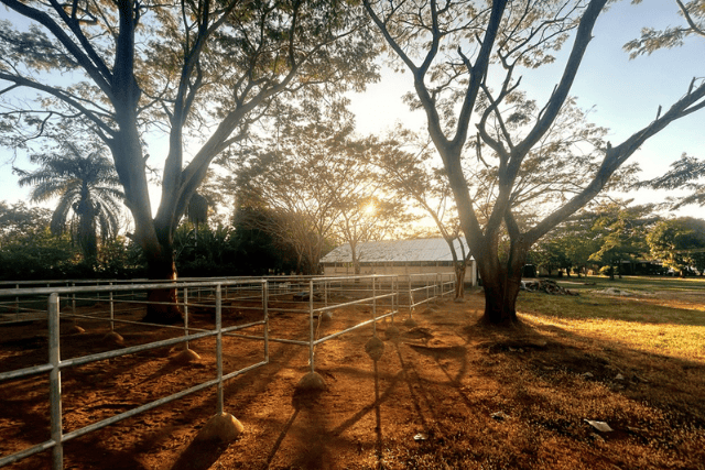 Finca Dontricia Hebergement Guanacaste 9