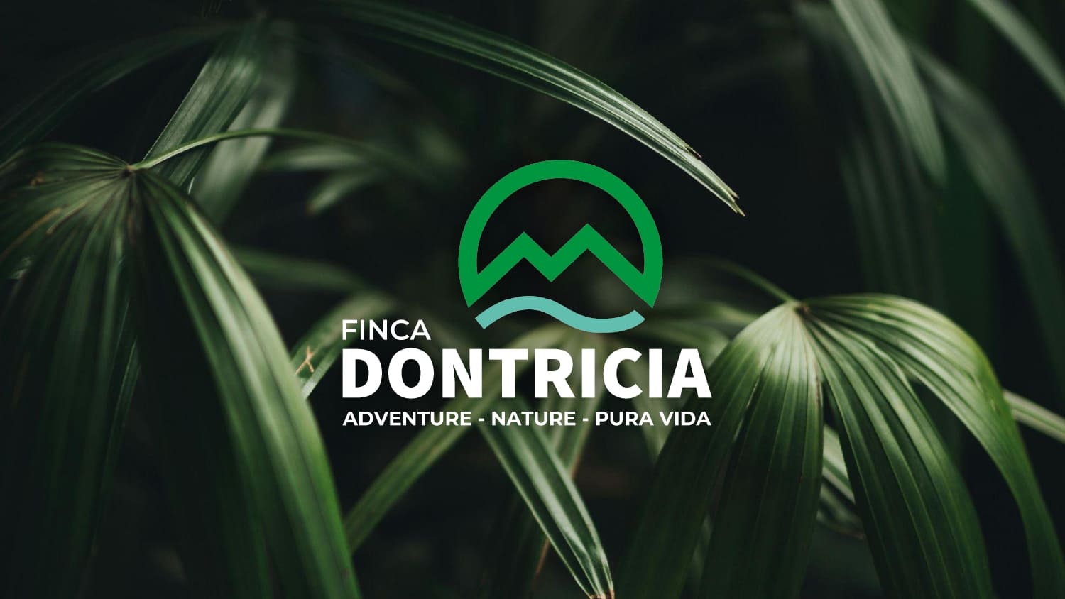 Finca Dontricia Logo Guanacaste