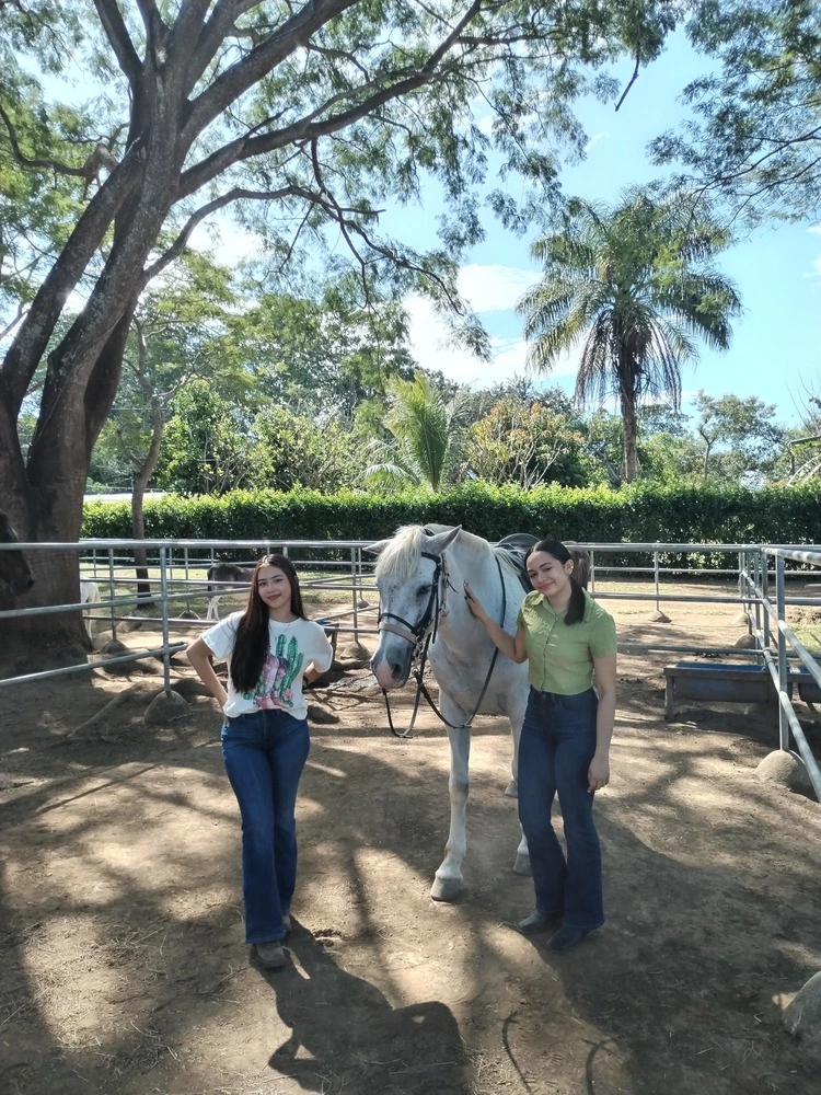 equitation guanacaste dontricia 3