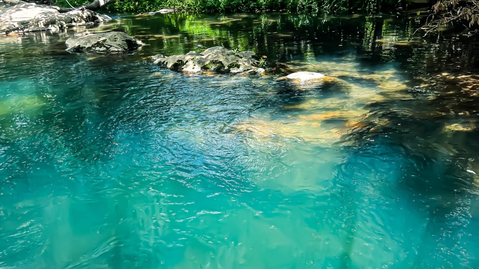 Finca Dontricia Tours 9