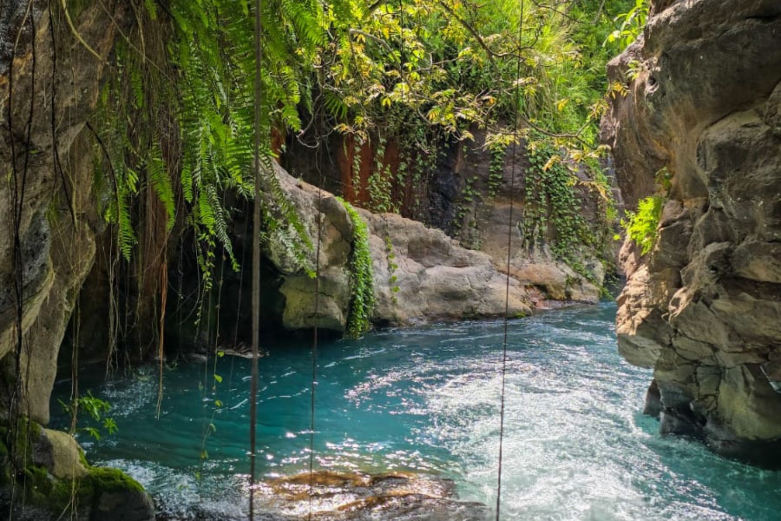 Finca Dontricia Costa Rica 11 3